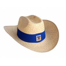 Sombrero de palma Truman Tigres banda Azul